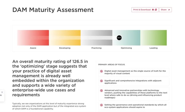 maturity assessment report with scale