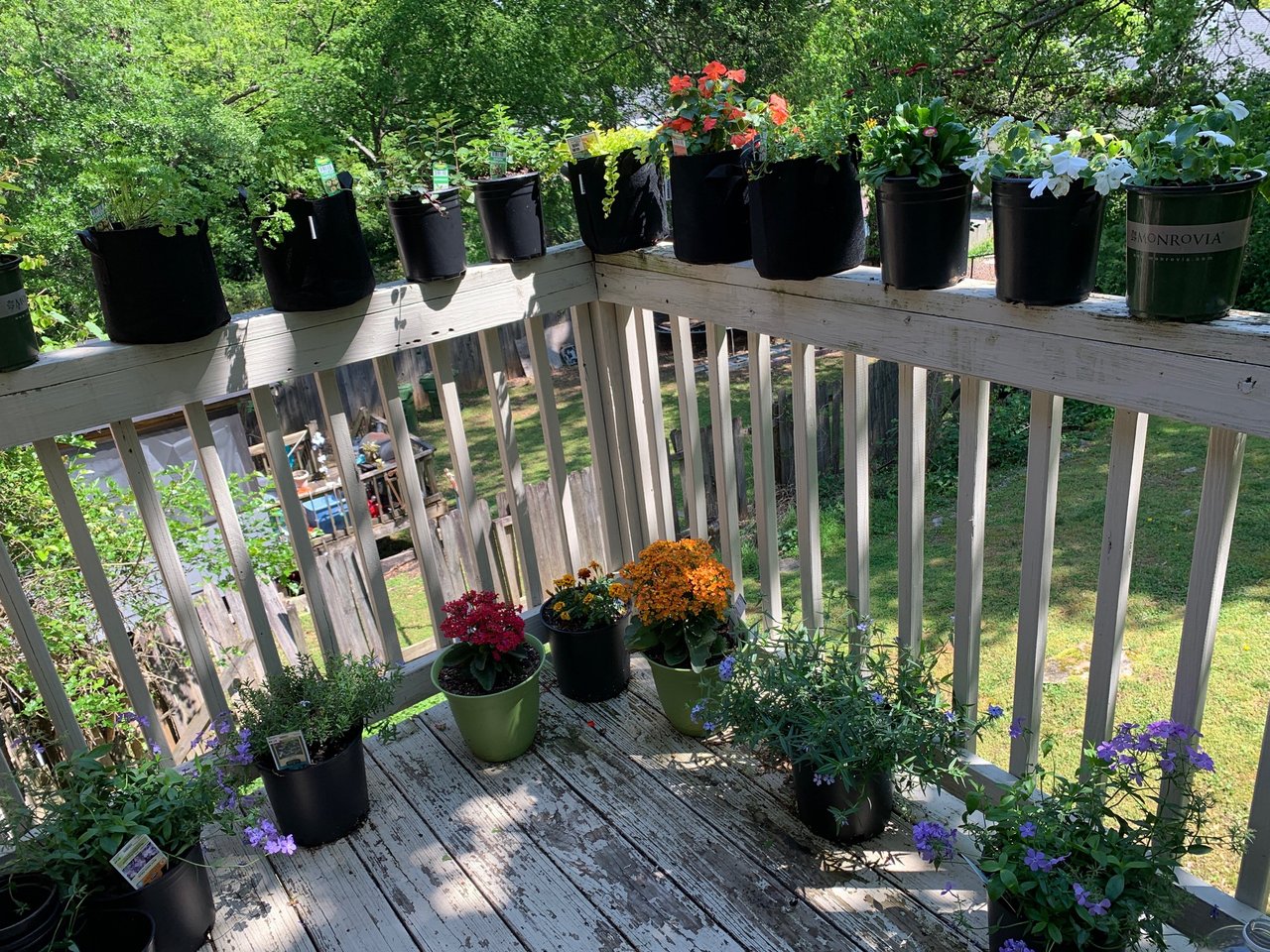 View from a balcony with many pot plants
